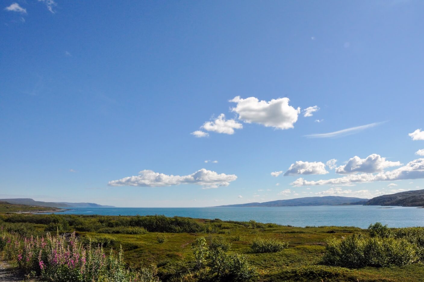 arctic-summer-landscape.jpeg