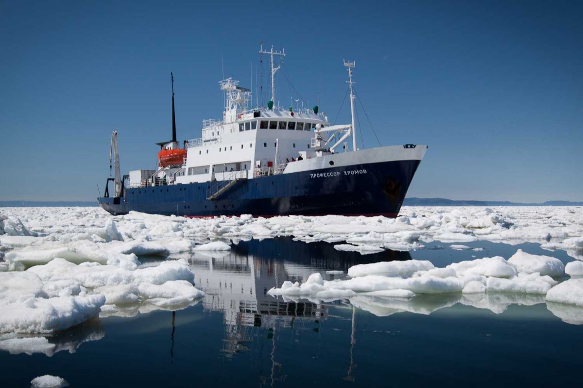 Arctic and Antarctica Polar Cruises & Tours | Expeditions Online