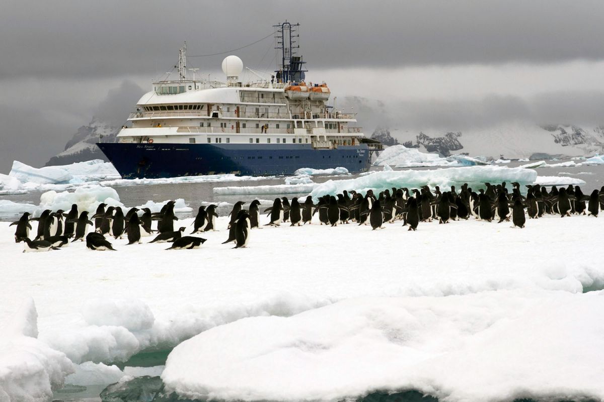 cruise to antarctica from canada